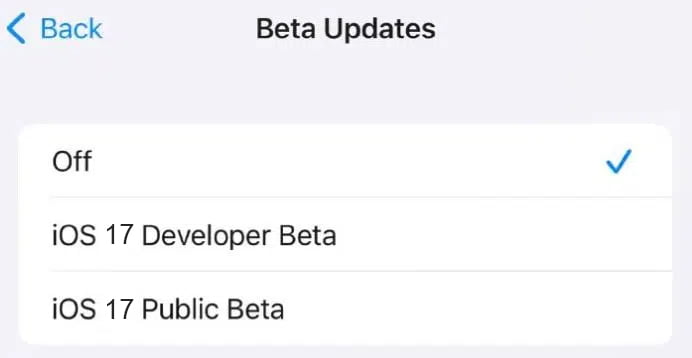 Choose iOS 17 beta update