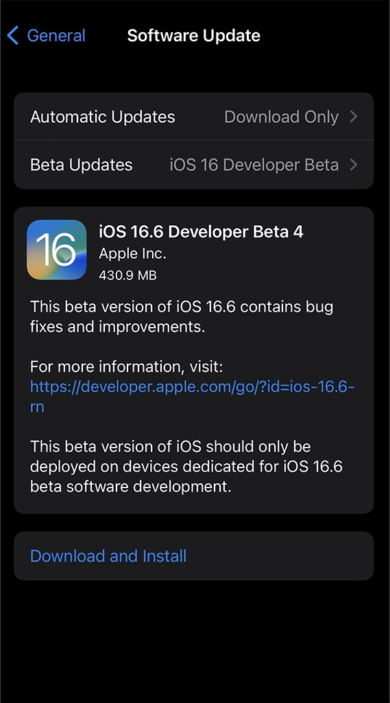 iOS 16.6 Beta 4 Screenshot