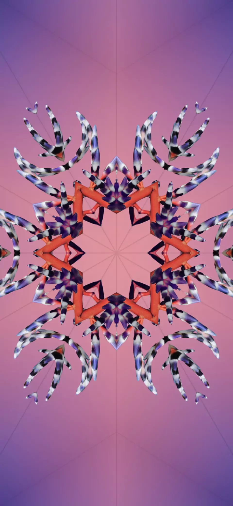 kaleidoscope 11 wallpaper